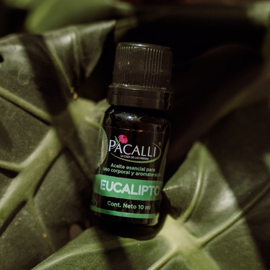 Aceite Esencial de Eucalipto · 10 ml