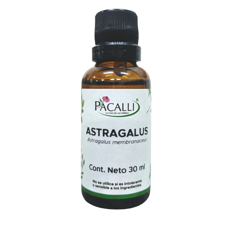 Astragalus Extracto · 30 ml