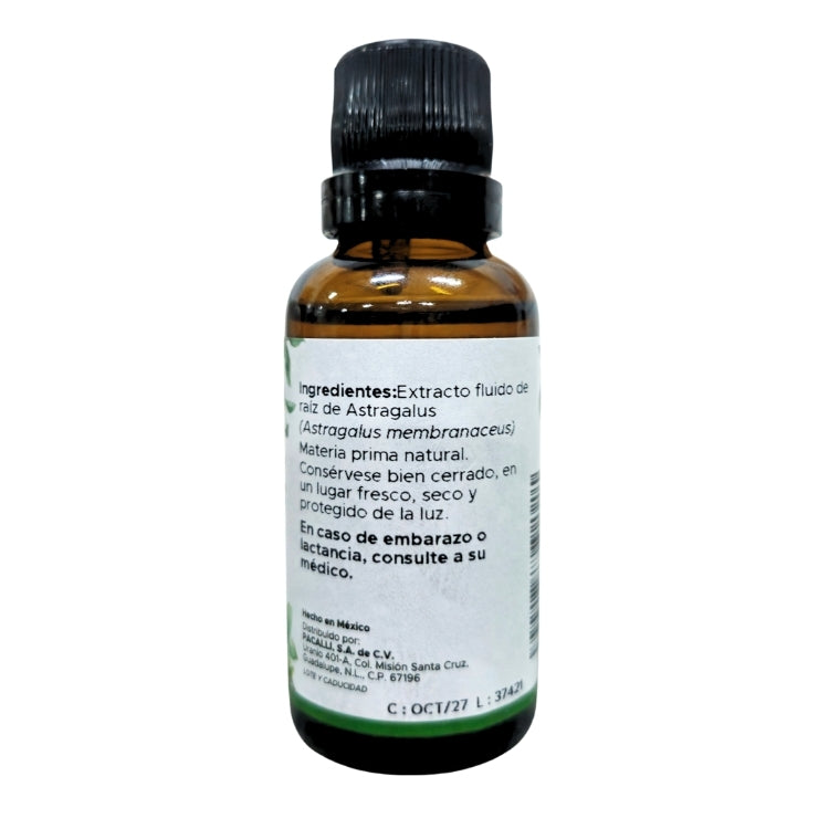 Astragalus Extracto · 30 ml