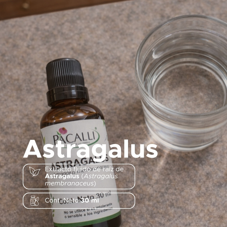 Astragalus Extracto · 30 ml