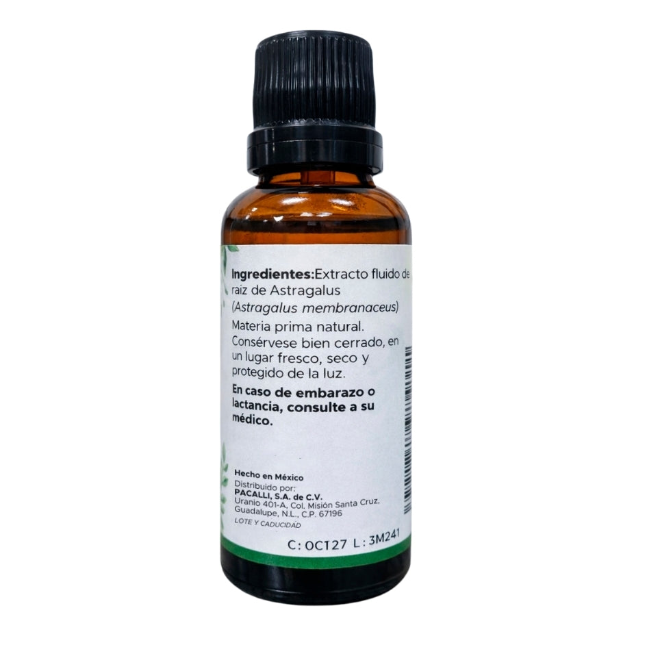 Astragalus Extracto · 30 ml