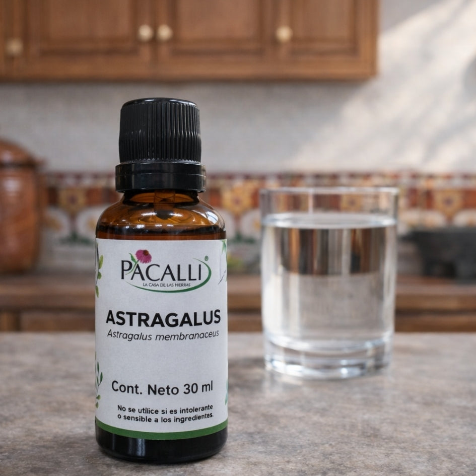 Astragalus Extracto · 30 ml
