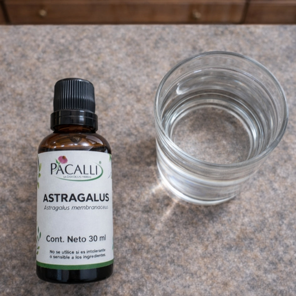 Astragalus Extracto · 30 ml