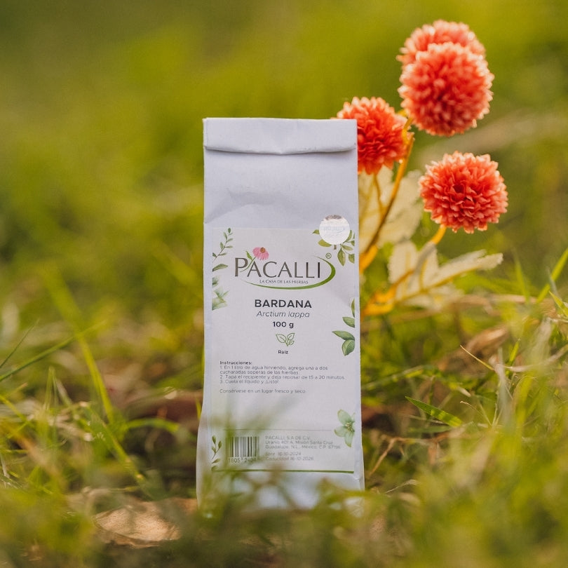Bardana · 100 g