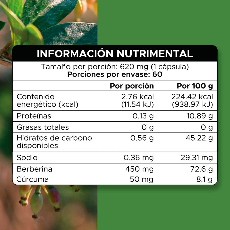 Berberina · 60 caps
