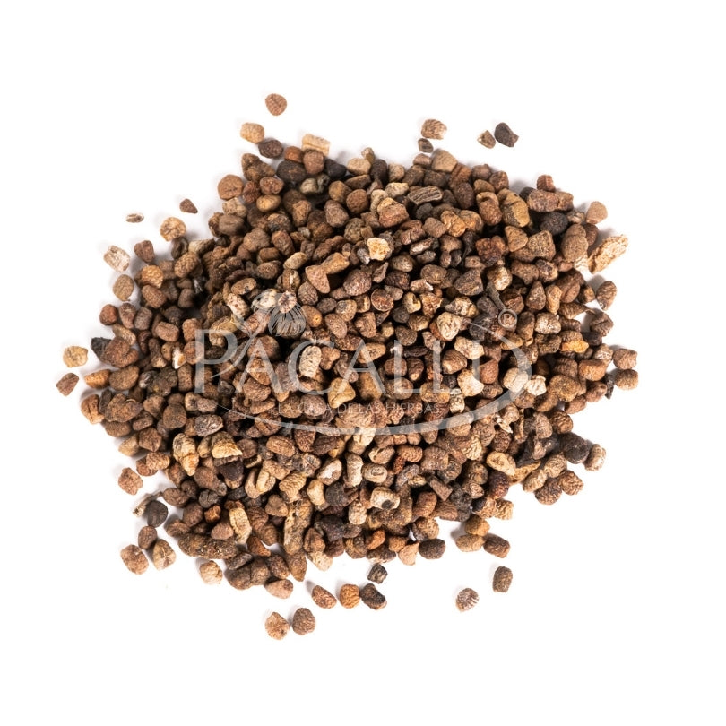 Cardamomo Semillas · 9 g