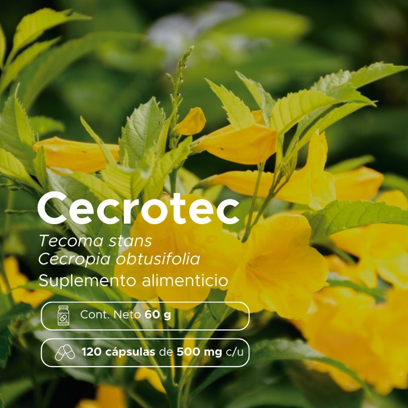 Cecrotec · 120 caps