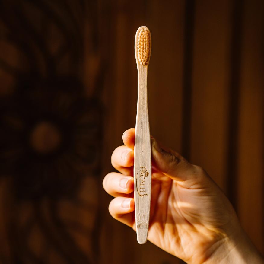 Cepillo Dental Bambú