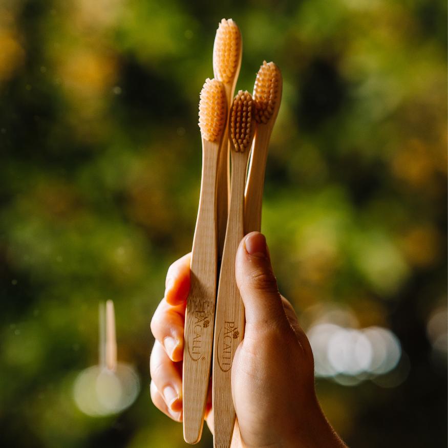 Cepillo Dental Bambú