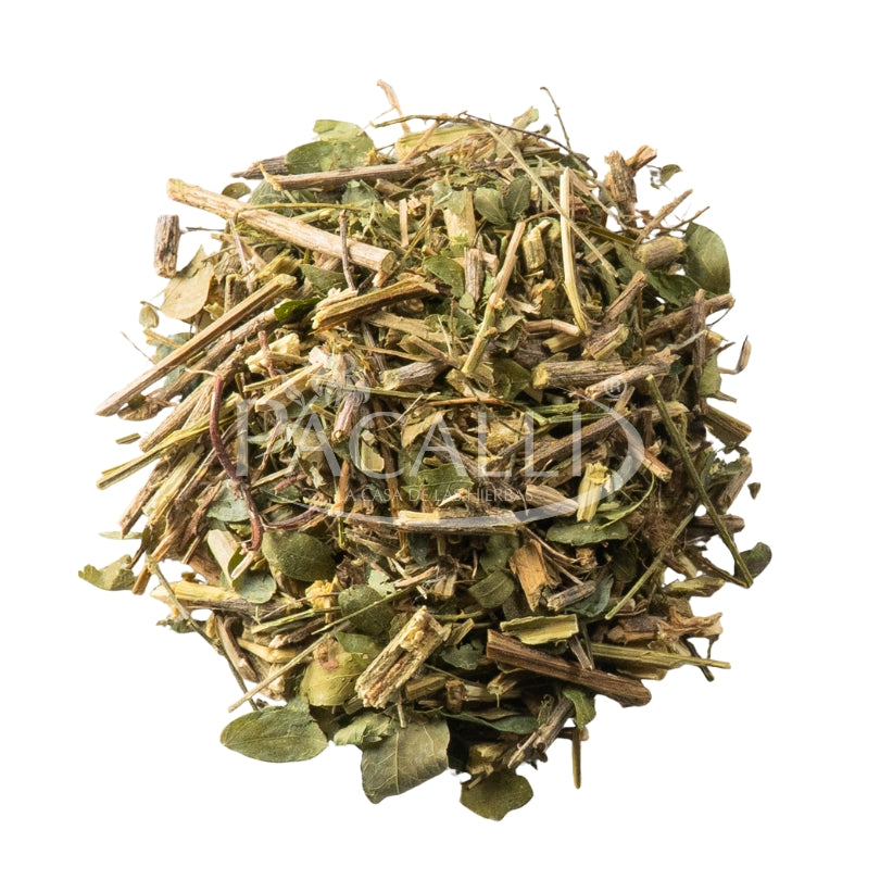 Charrasquilla · 100 g