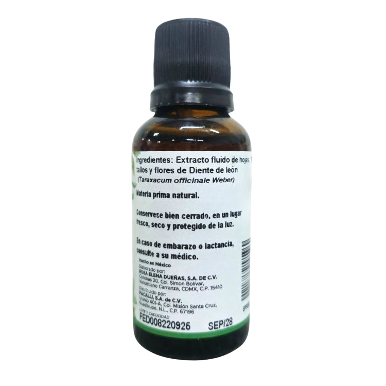 Diente de León Extracto · 30 ml
