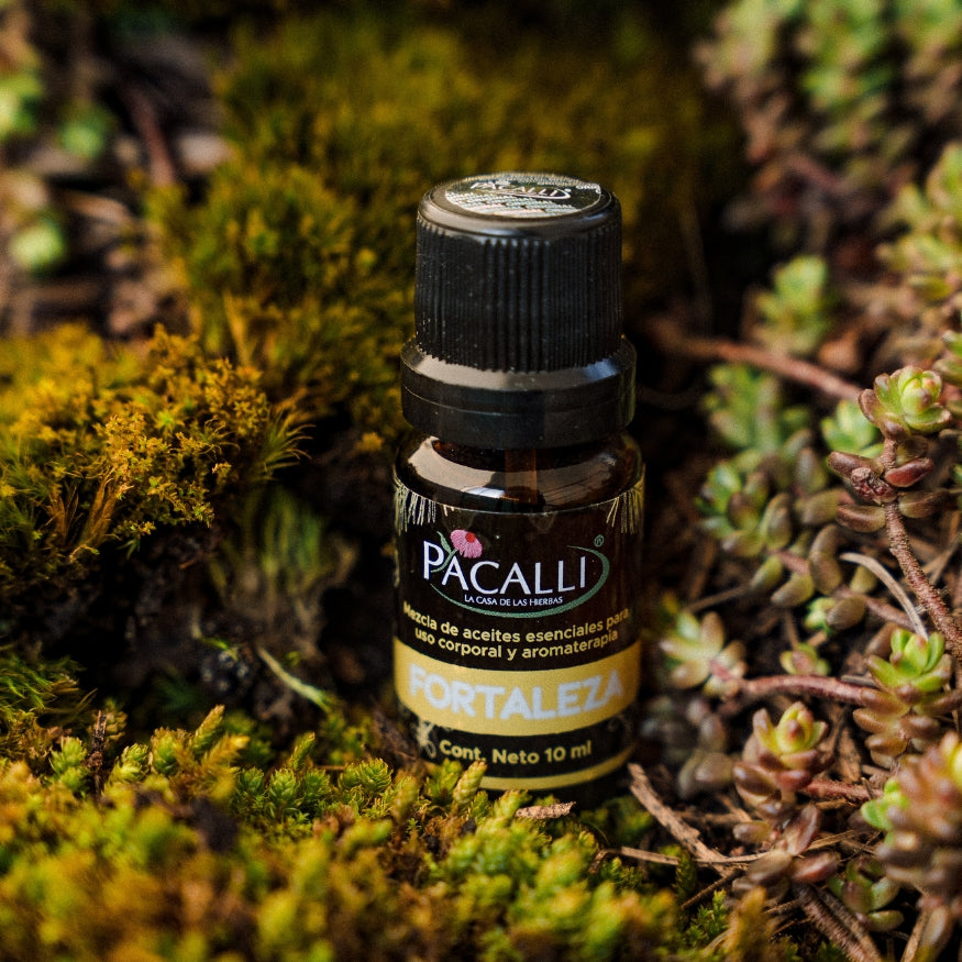 Fortaleza Mezcla Pura PACALLI · Pino, Tomillo y Jengibre · 10 ml