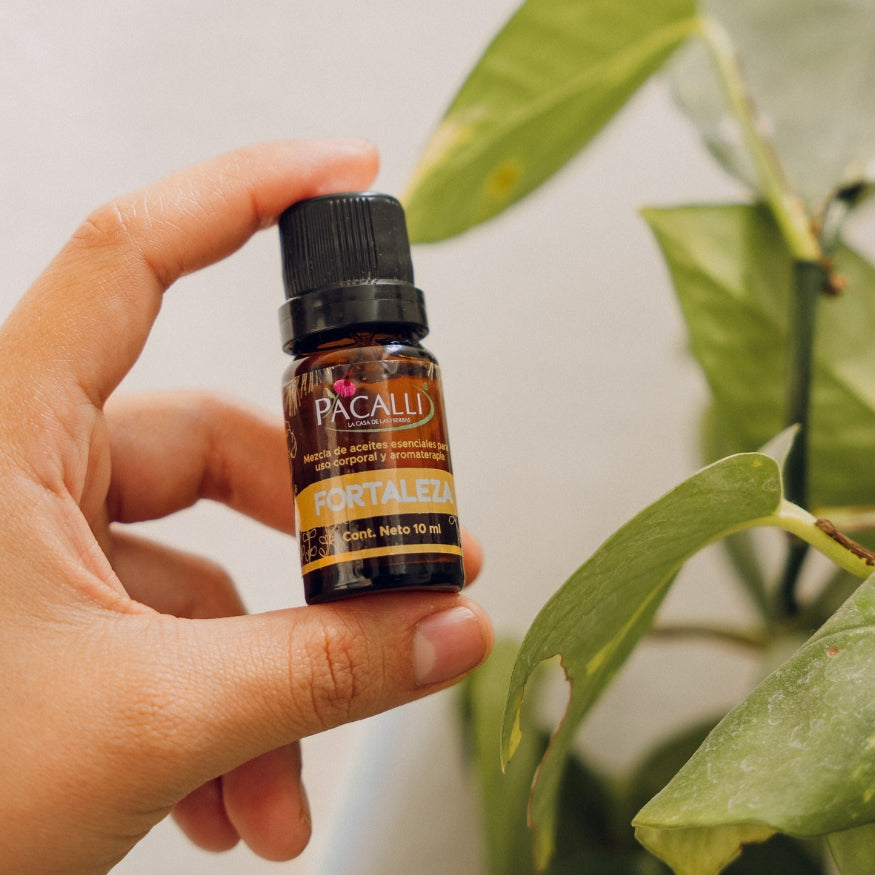 Fortaleza Mezcla Pura PACALLI · Pino, Tomillo y Jengibre · 10 ml