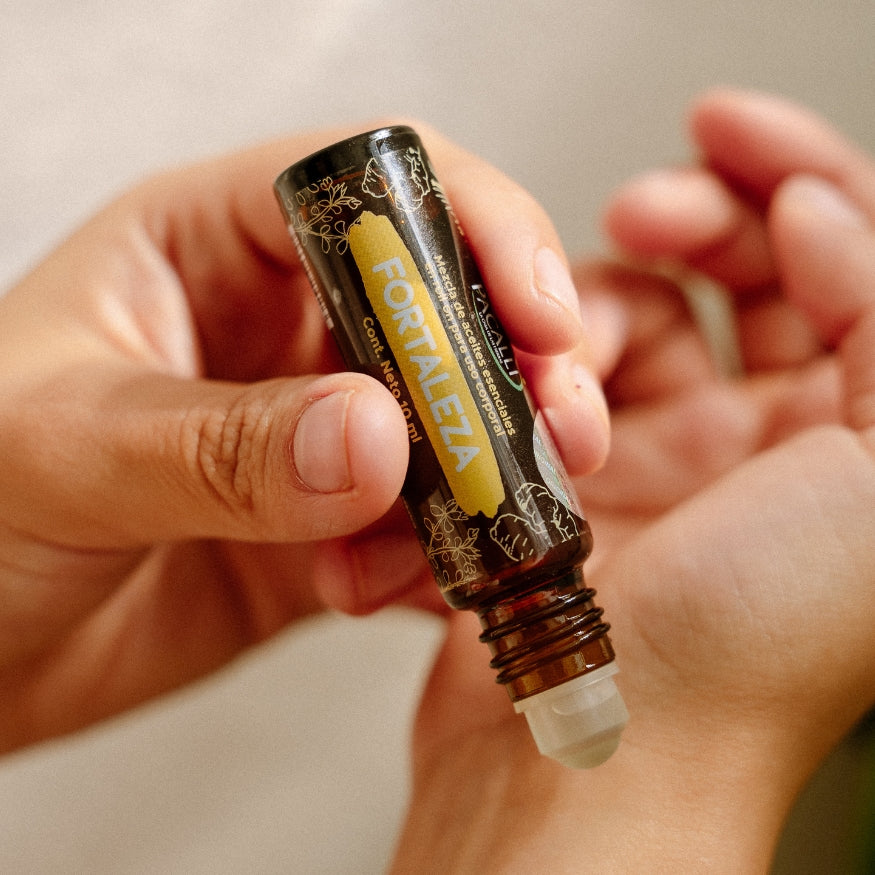 Fortaleza Roll On PACALLI · Pino, Tomillo y Jengibre · 10 ml