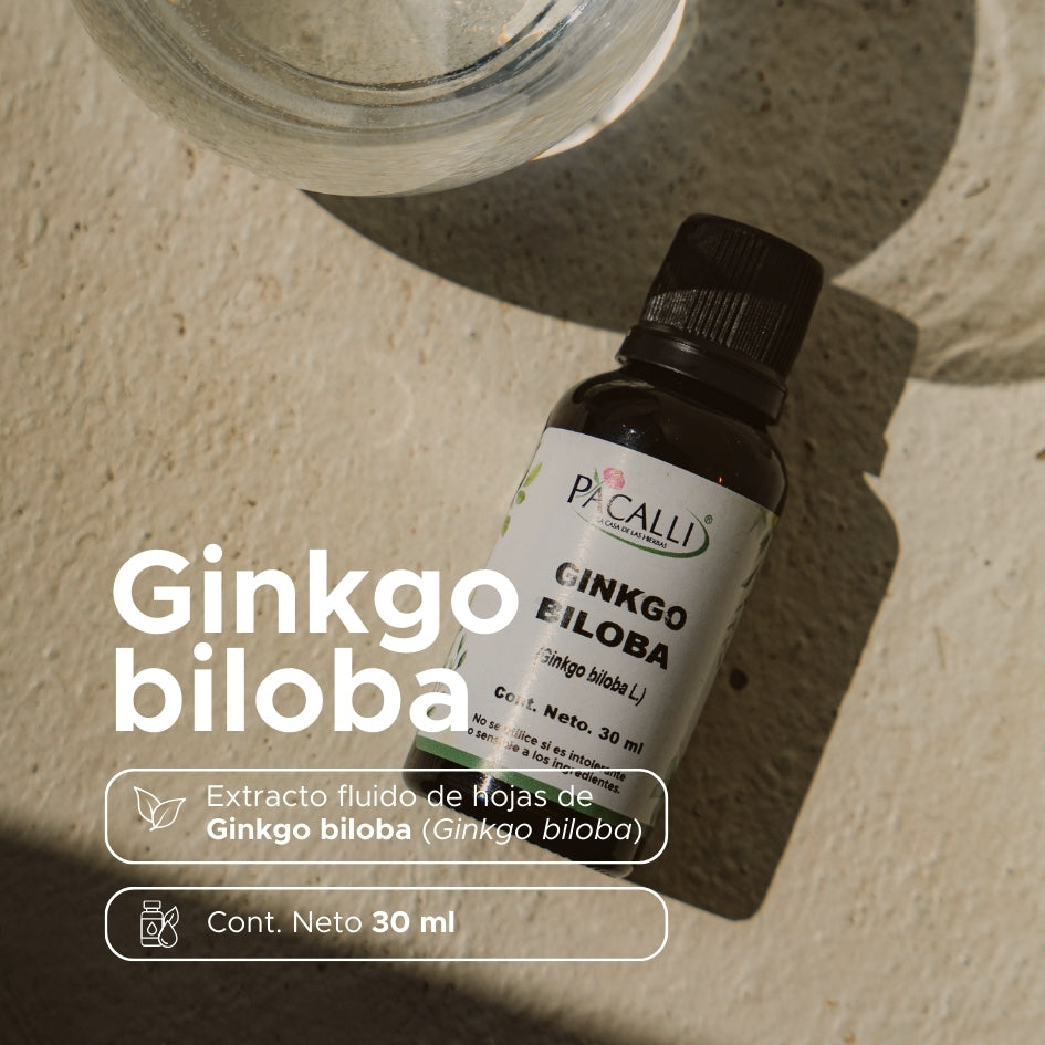 Ginkgo Biloba Extracto · 30 ml