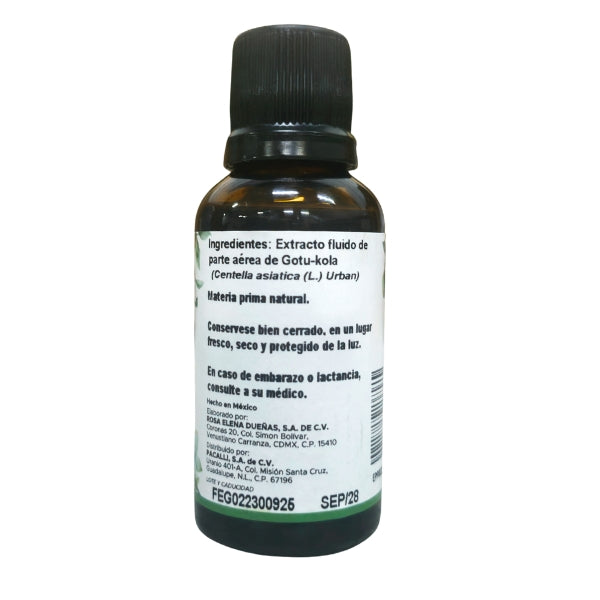Gotu Kola Extracto · 30 ml