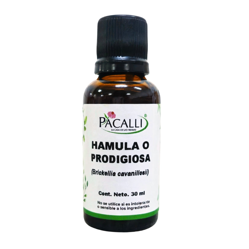 Hamula o Prodigiosa Extracto · 30 ml
