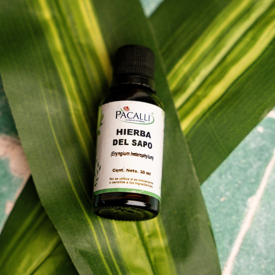 Hierba del Sapo Extracto · 30 ml