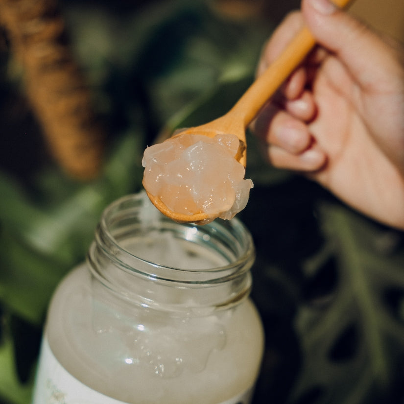 Pulpa de Sábila PACALLI · Aloe Vera en Pulpa · 900g