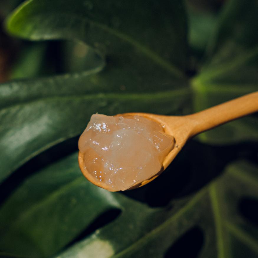 Pulpa de Sábila PACALLI · Aloe Vera en Pulpa · 900g