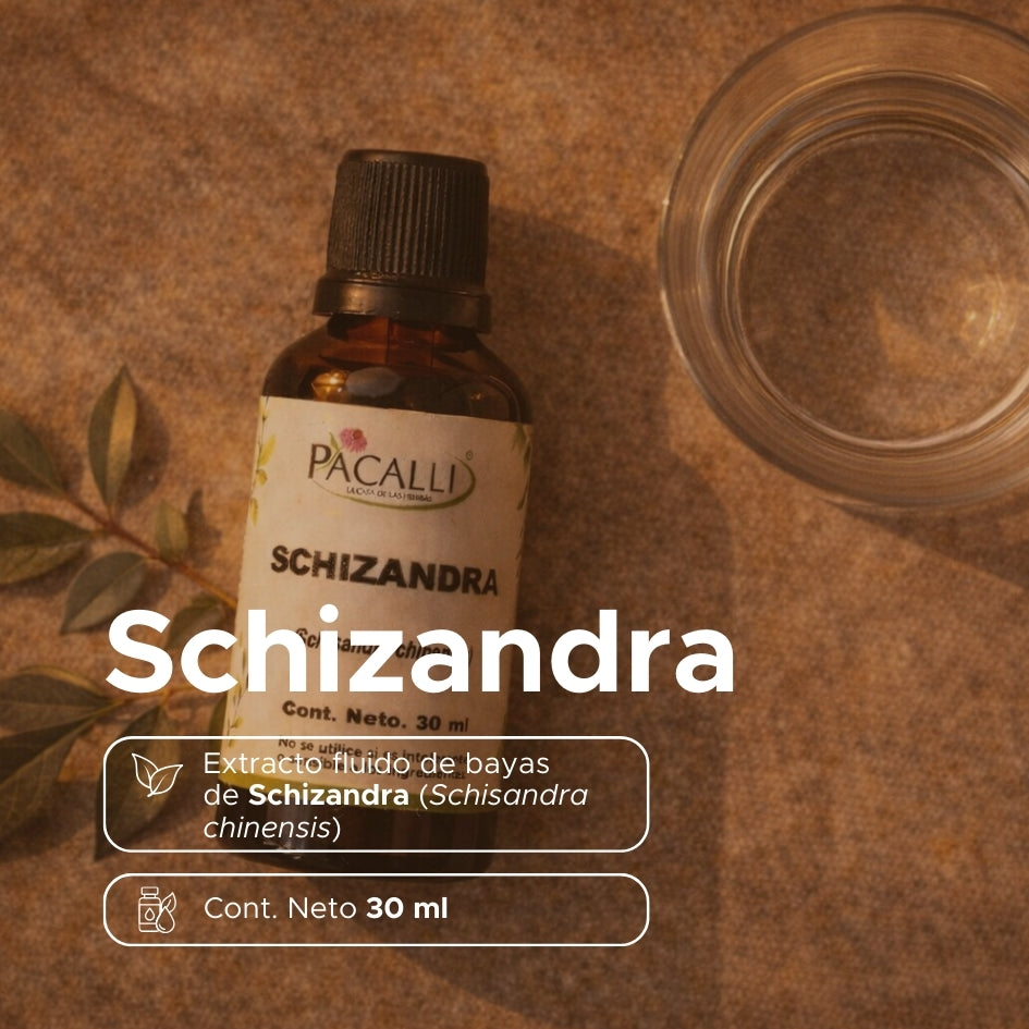Schizandra Extracto · 30 ml