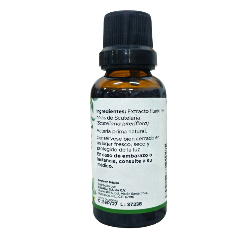 Scutelaria Extracto · 30 ml