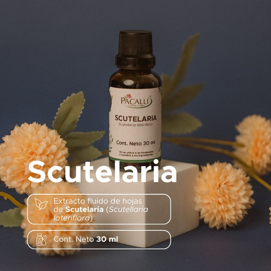Scutelaria Extracto · 30 ml