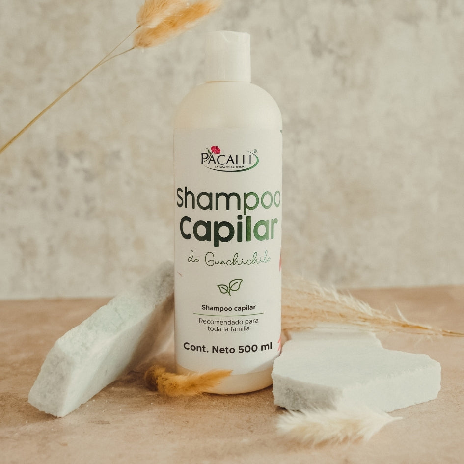 Shampoo Capilar de Guachichile PACALLI · Con Guachichile y Sangre de Drago · 500 ml