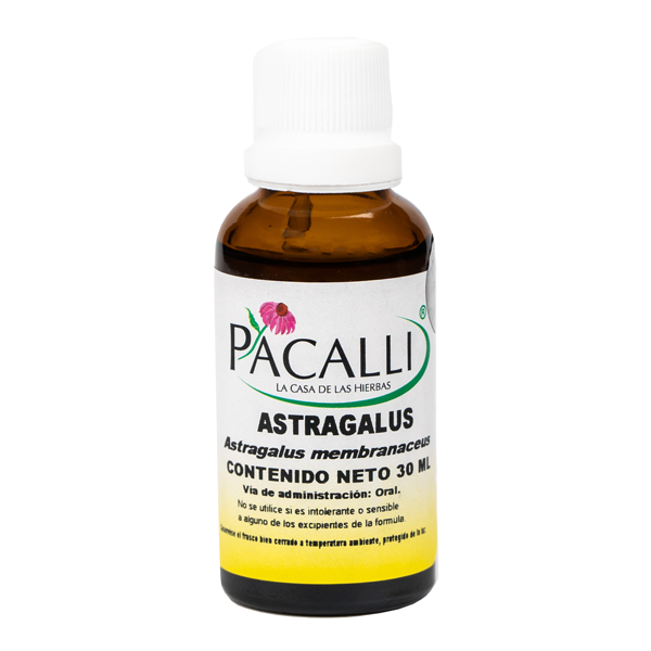 Astragalus / 30 ml