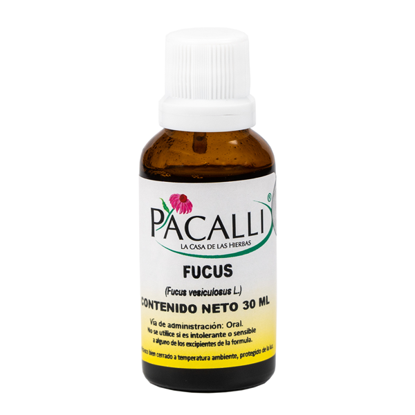 Fucus Extracto · 30 ml
