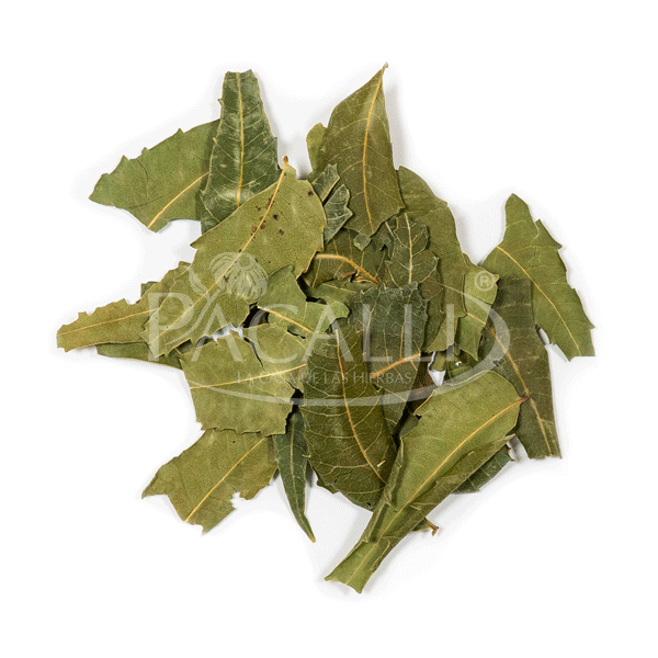 Hojas de Neem · 25 g
