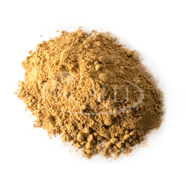Jengibre · 100 g