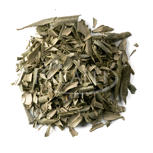 Olivo · 100 g