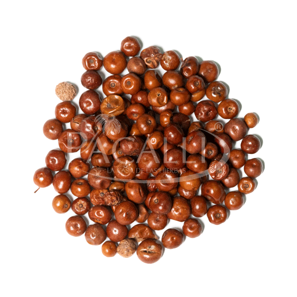 Pingüica Frutos · 100 g
