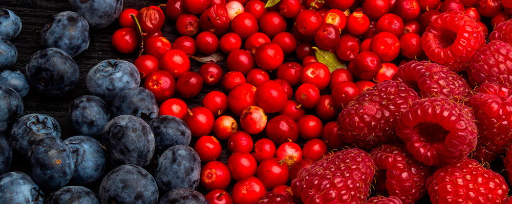 Resveratrol