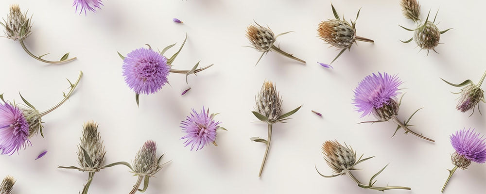 Limpieza del Hígado