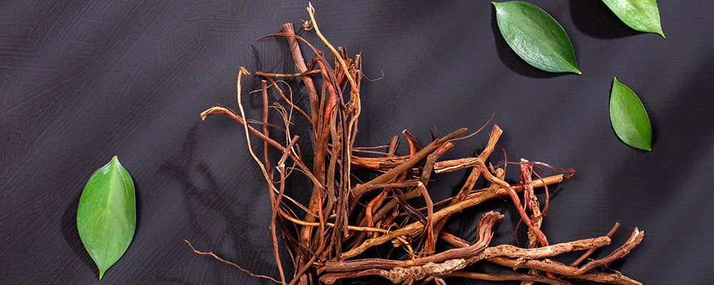 ¿Cómo protegernos de los daños provocados por la contaminación?