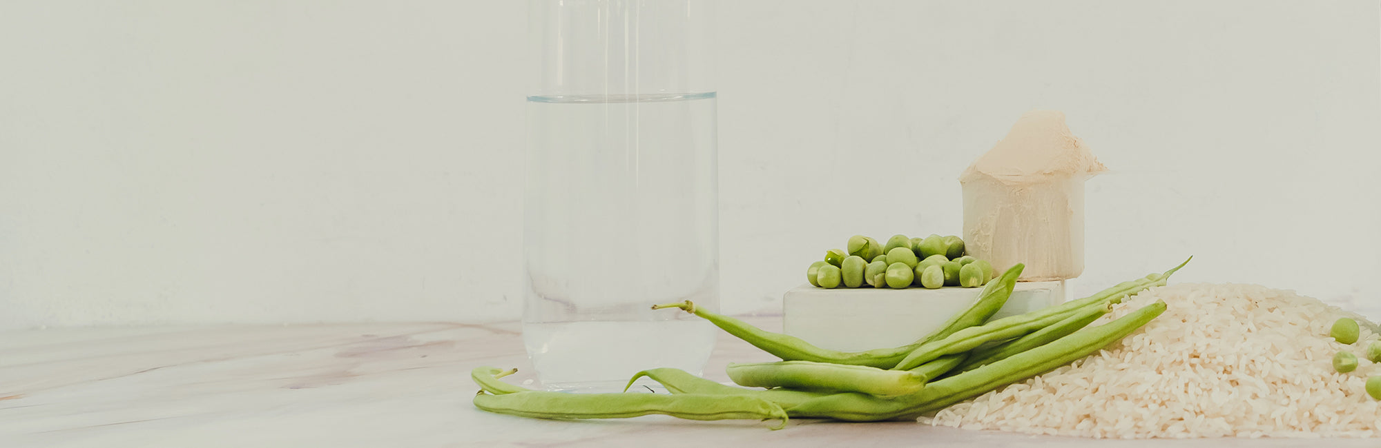 Proteínas – Pacalli