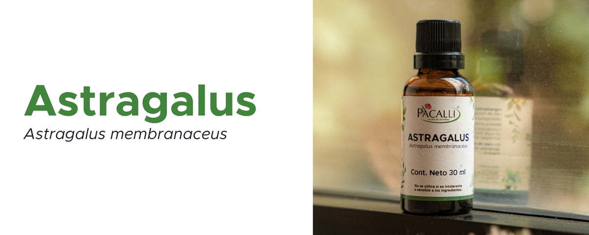 Astragalus Extracto · 30 ml
