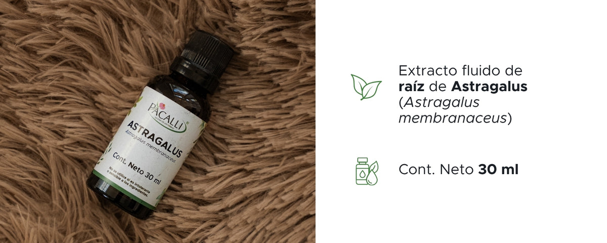 Astragalus Extracto · 30 ml