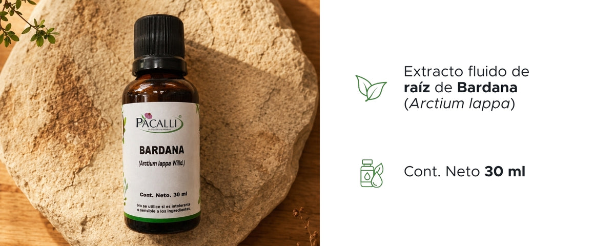 Bardana Raíz Extracto · 30 ml
