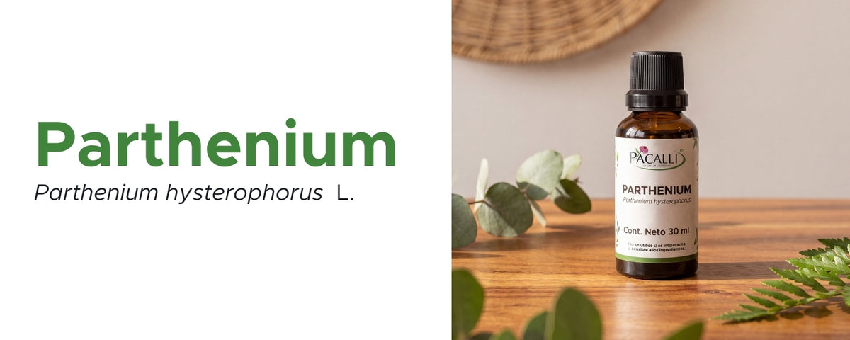 Parthenium Extracto · 30 ml