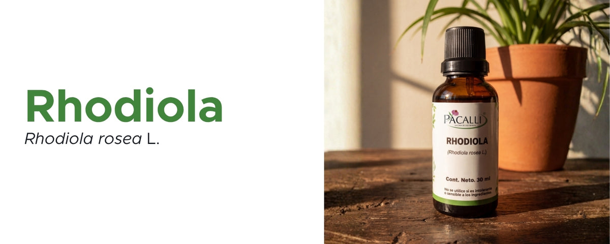 Rhodiola Extracto · 30 ml