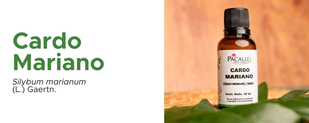Cardo Mariano Extracto · 30 ml