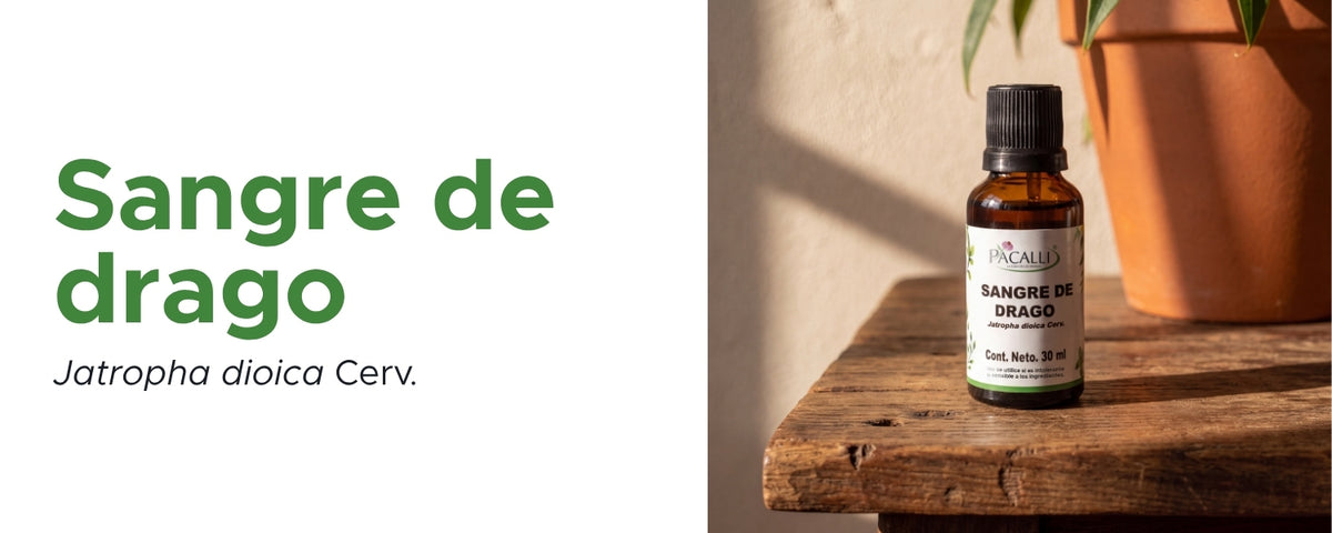 Sangre de Drago Extracto · 30 ml