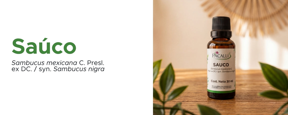 Sauco Extracto · 30 ml