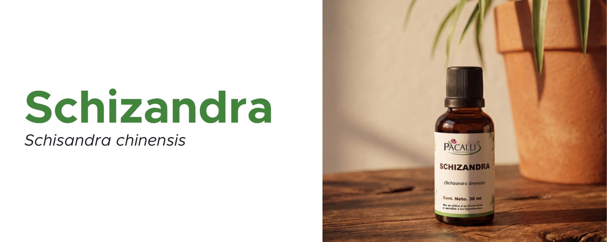Schizandra Extracto · 30 ml