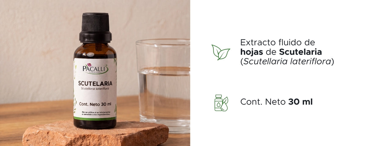 Scutelaria Extracto · 30 ml