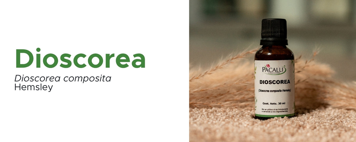 Dioscorea Extracto · 30 ml