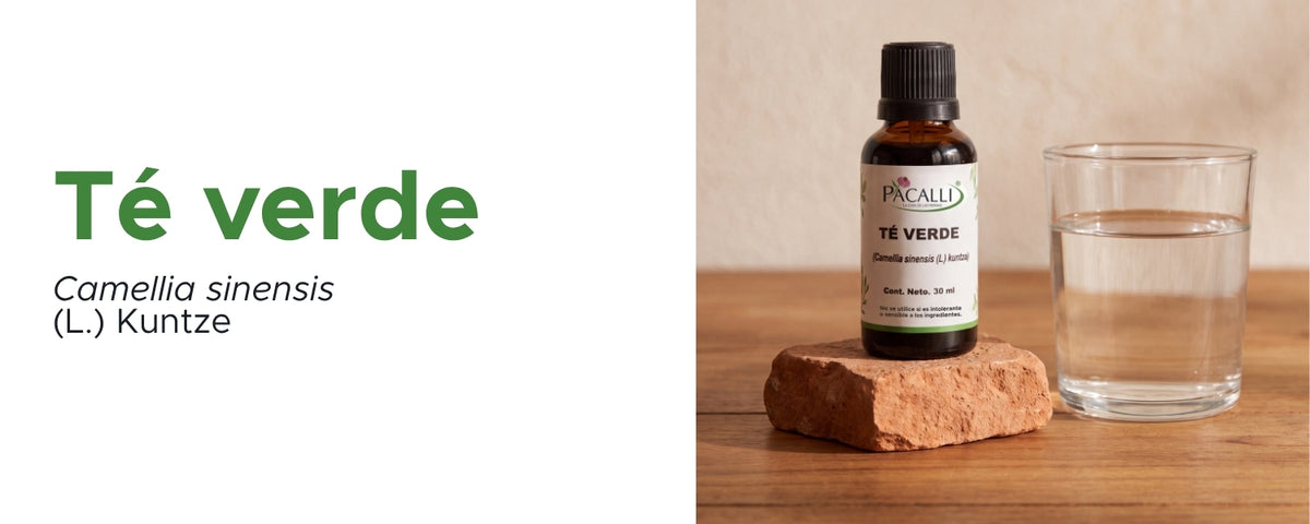 Té Verde Extracto · 30 ml